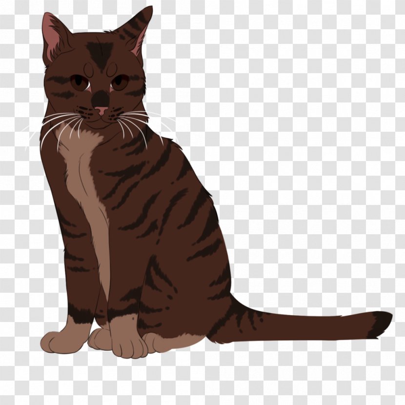 American Wirehair Whiskers California Spangled Kitten Domestic Short-haired Cat - Tail Transparent PNG
