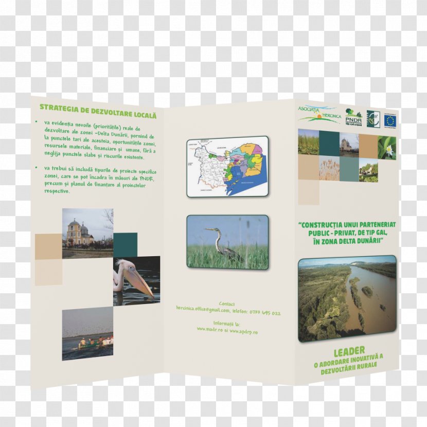 Brochure - Design Transparent PNG