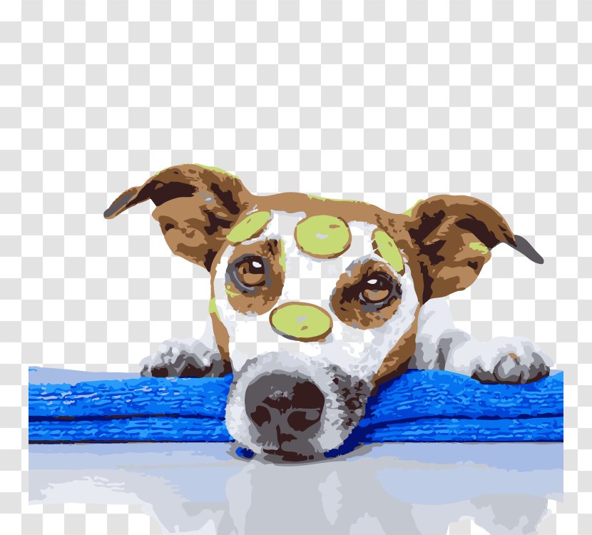 Dog Grooming Pet Sitting Wags My Tail - Breed Transparent PNG