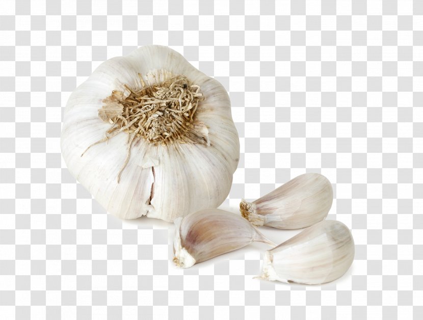 Garlic Italian Cuisine Vegetable Food Onion - Clove Transparent PNG