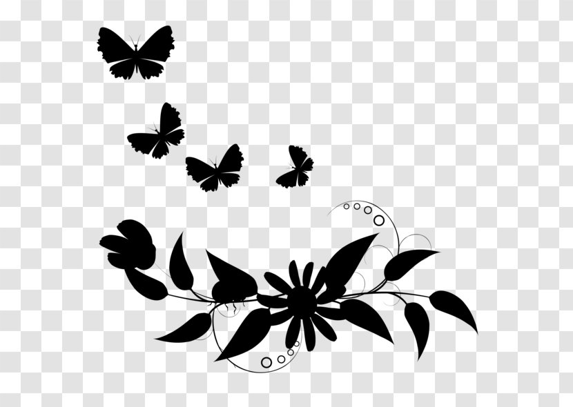 Monarch Butterfly Brush-footed Butterflies Insect Pattern - Flowering Plant - Tiger Milkweed Transparent PNG
