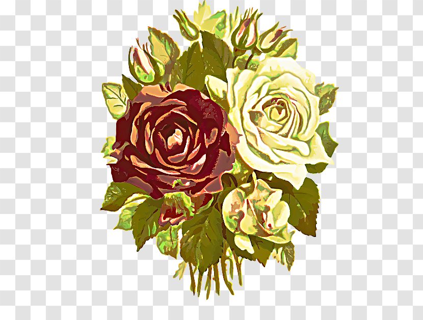 Garden Roses - Bouquet - Floristry Flowering Plant Transparent PNG