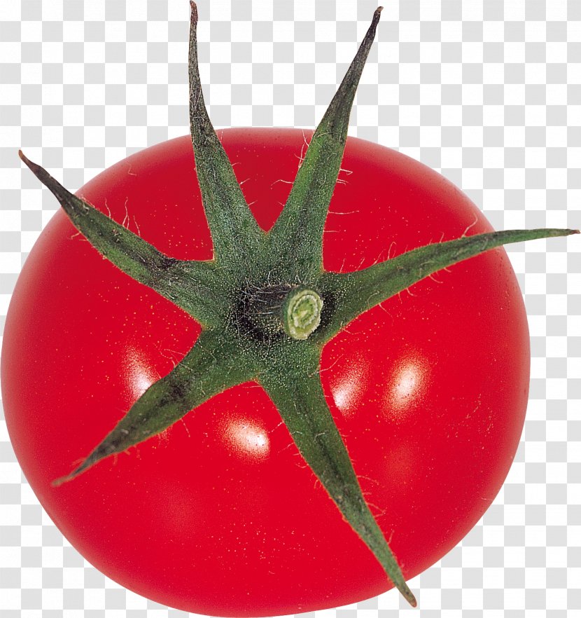 Cherry Tomato Vegetable Salsa Pizza Transparent PNG