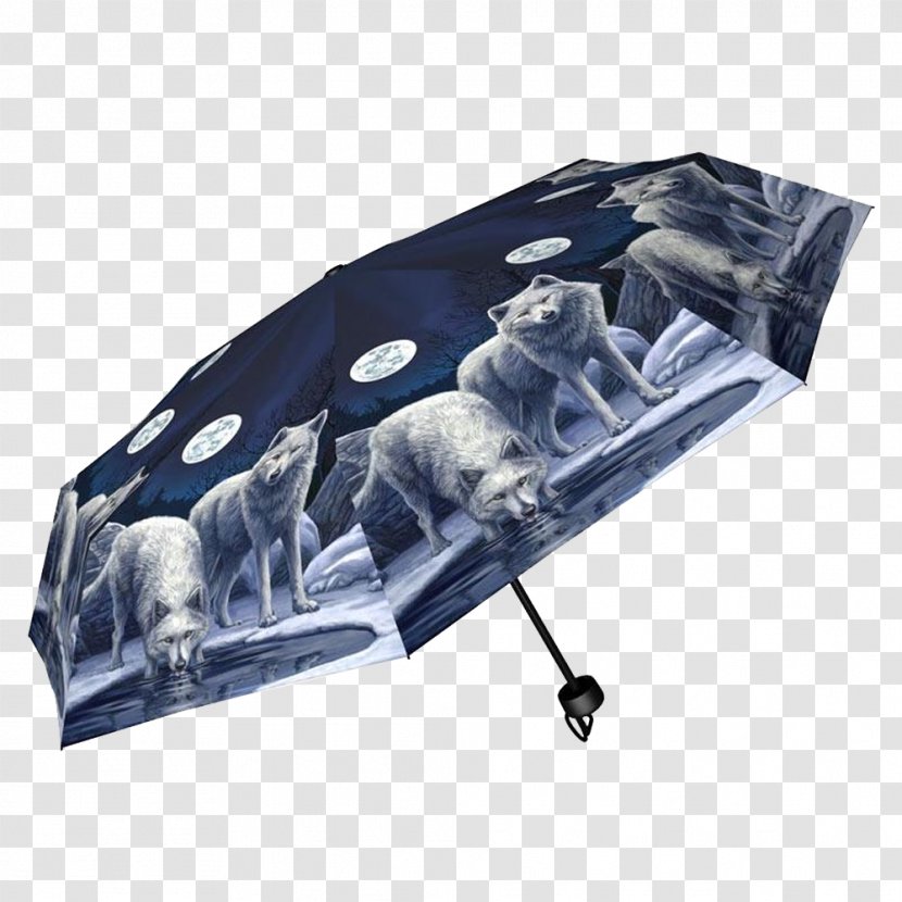 Umbrella Handbag Clothing Accessories Zipper Transparent PNG