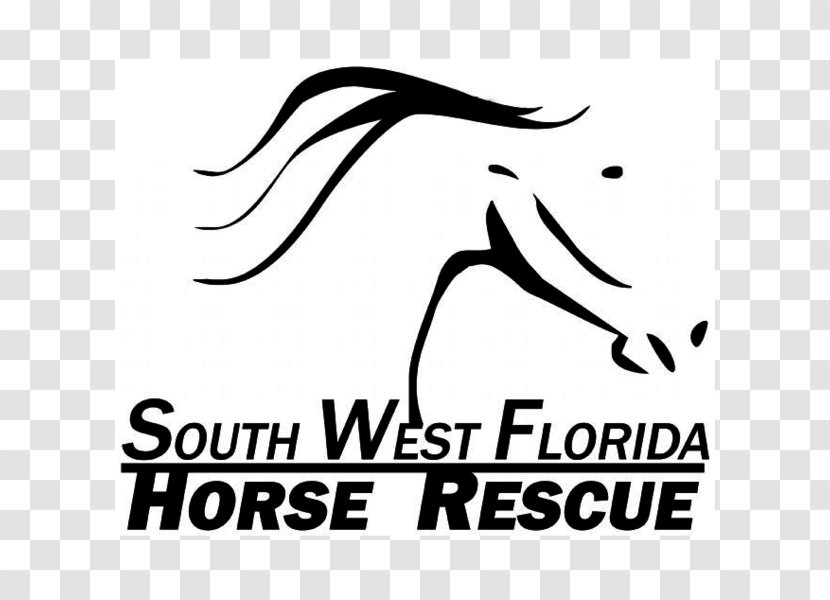 South West Florida Horse Rescue, Inc. Logo Graphic Design - Area Transparent PNG