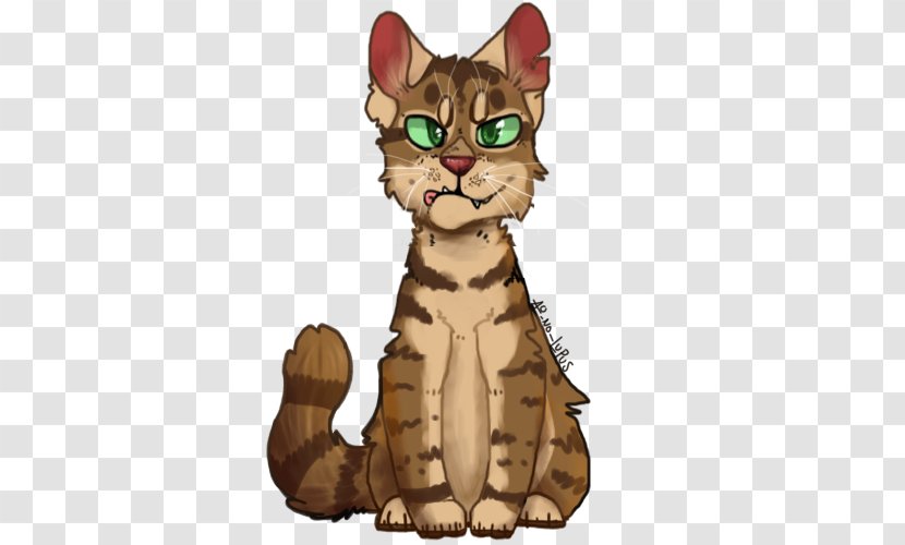 Crookedstar's Promise Kitten Tabby Cat Warriors - Riverclan Transparent PNG