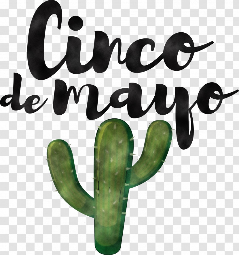 Cinco De Mayo Fifth Of May Mexico Transparent PNG