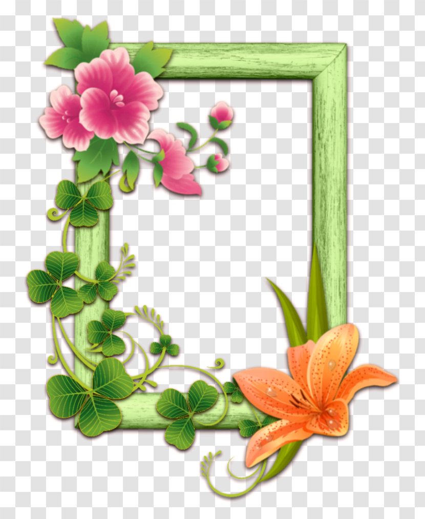 Floral Design Picture Frames Animated Film Flower Clip Art - Floristry Transparent PNG