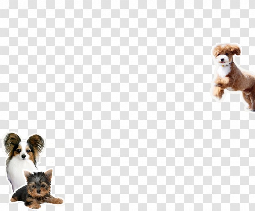 上州苑 Accommodation Dog Breed Rakuten Travel Puppy - Stuffed Toy Transparent PNG