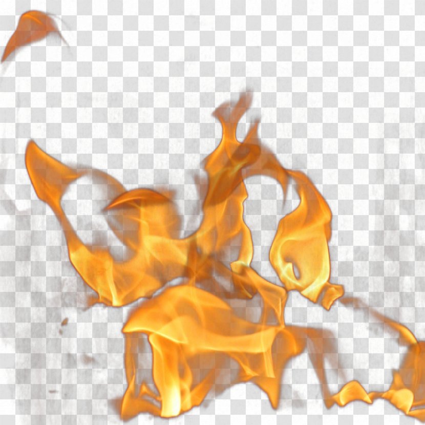 A Group Of Flames - Flower - Heart Transparent PNG