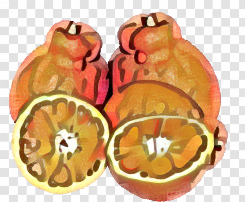 Winter Cartoon - Citrus - Grapefruit Plant Transparent PNG