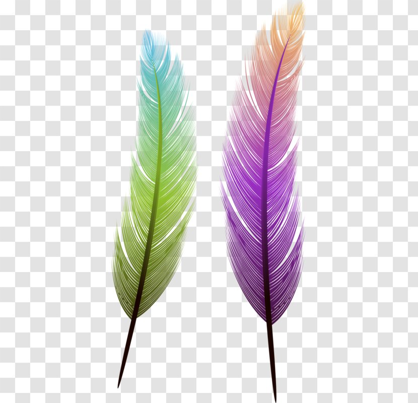 Bird Feather Euclidean Vector - Purple Transparent PNG