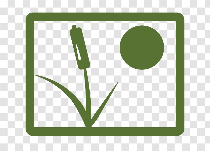 Education Rectangle Logo School - Frameworks Institute - Swamp Transparent PNG