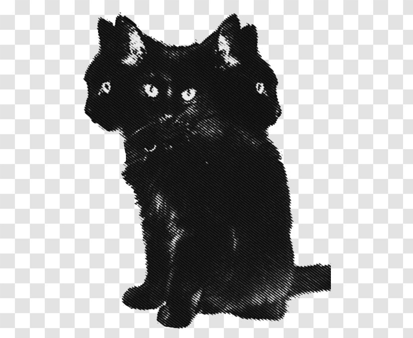 Black Cat Le Chat Noir Animal - And White - 香港 Transparent PNG