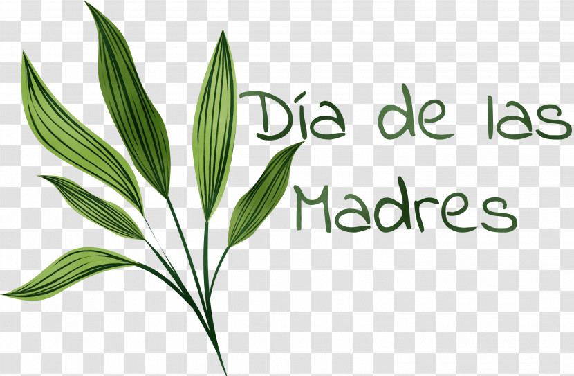 Leaf Plant Stem Logo Grasses Font Transparent PNG