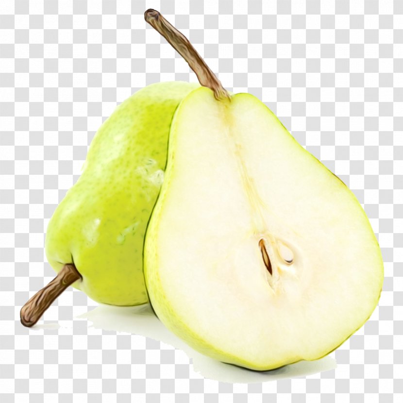 Pear Plant Food Fruit - Paint - Natural Foods Tree Transparent PNG