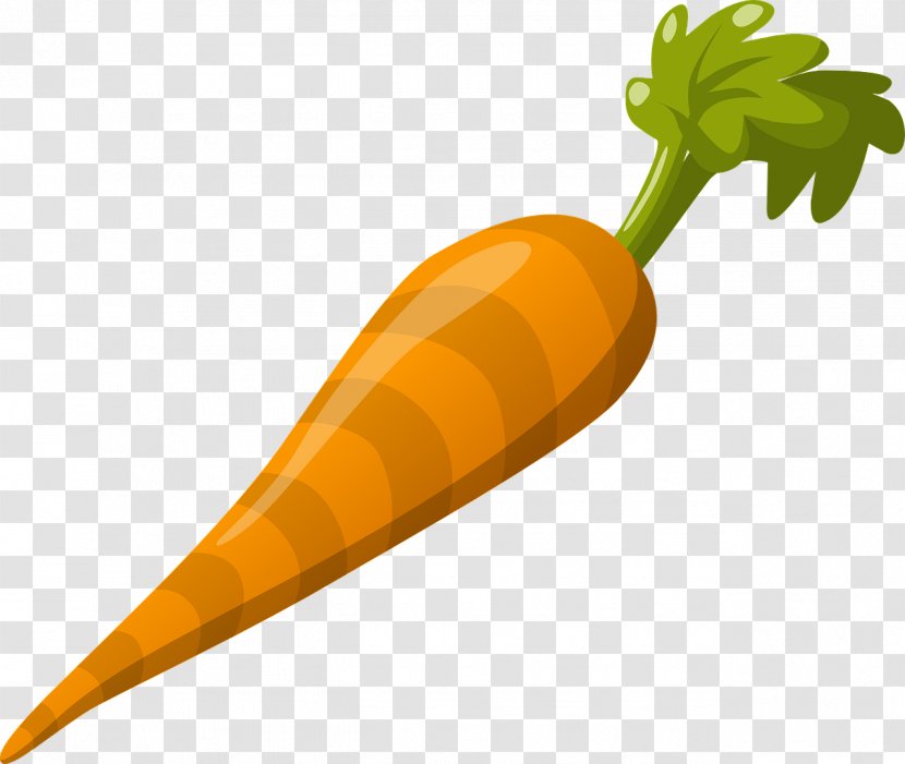 Carrot Clip Art - Fruit Transparent PNG