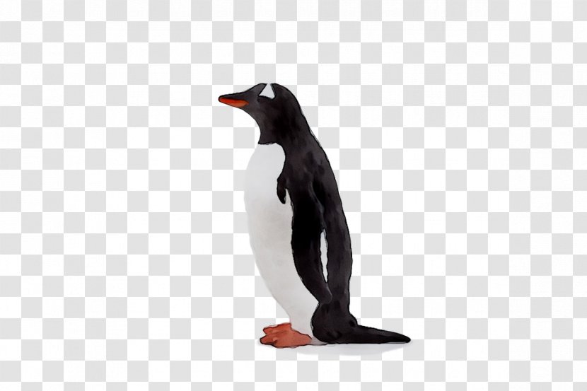 King Penguin Beak - Bird Transparent PNG