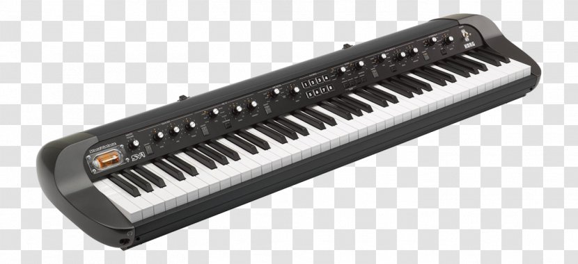 Rhodes Piano Korg SV-1 73 88 Musical Instruments - Flower Transparent PNG