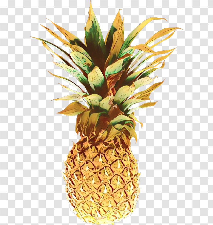 Pineapple - Poales - Flowering Plant Transparent PNG