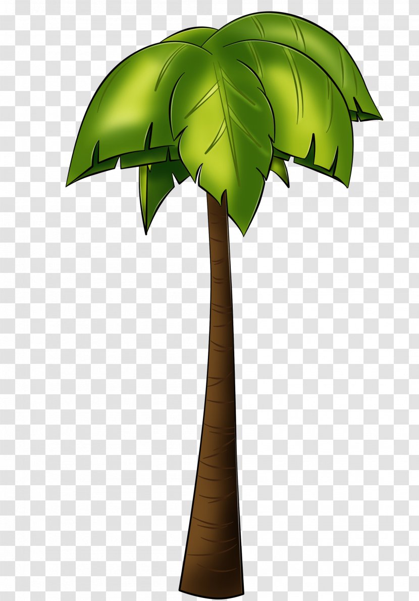 Tree Arecaceae Drawing Digital Image - Plant Stem - Coconut Transparent PNG