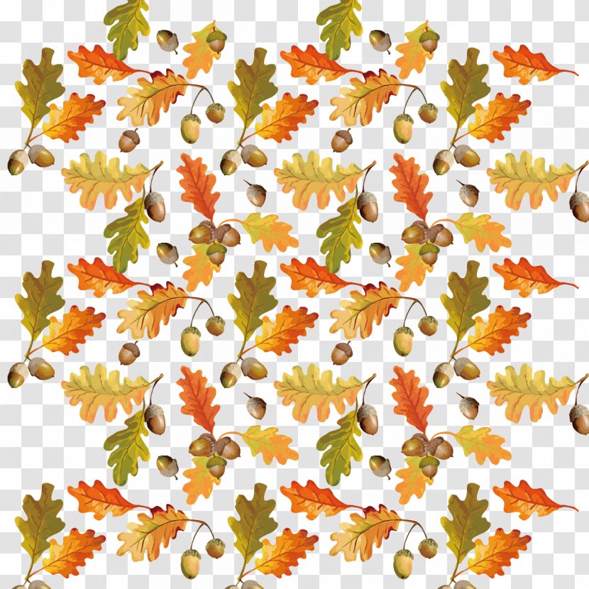 Leaf Autumn - Leaves Background Vector Material Transparent PNG