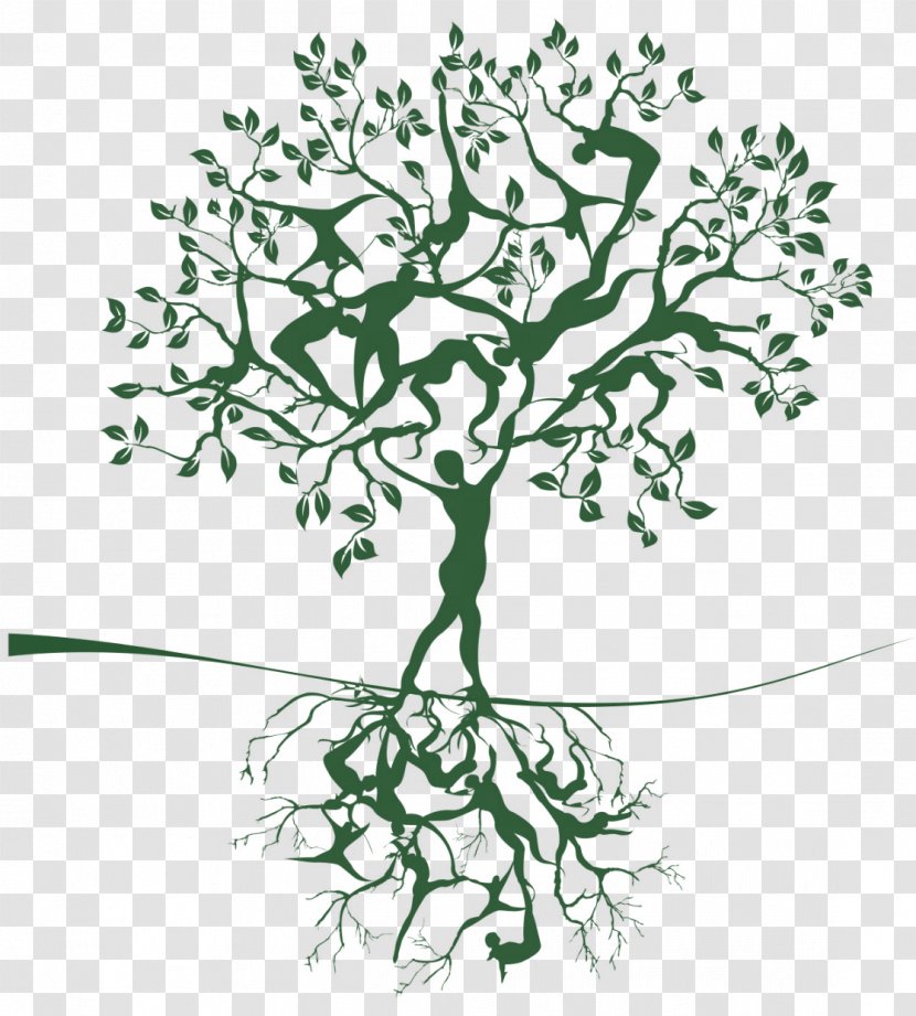 Tree Of Life Woman Transparent PNG