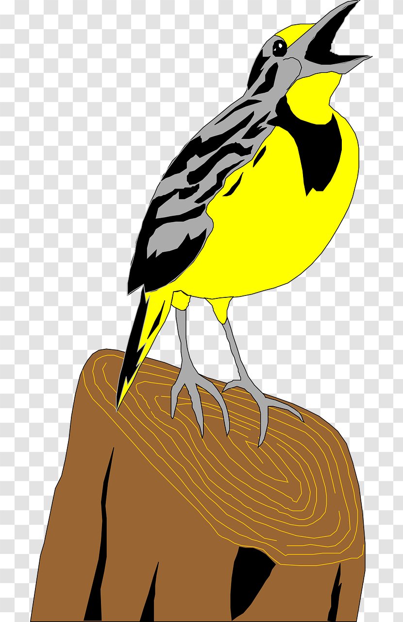 Flappet Lark Bird Clip Art - Wildlife - Birds Transparent PNG