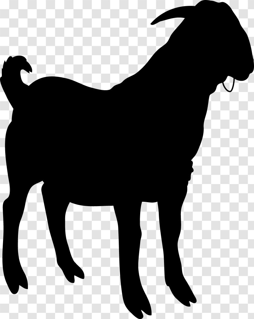 Dog Vector Graphics Clip Art Illustration Image - Goats - Livestock Transparent PNG