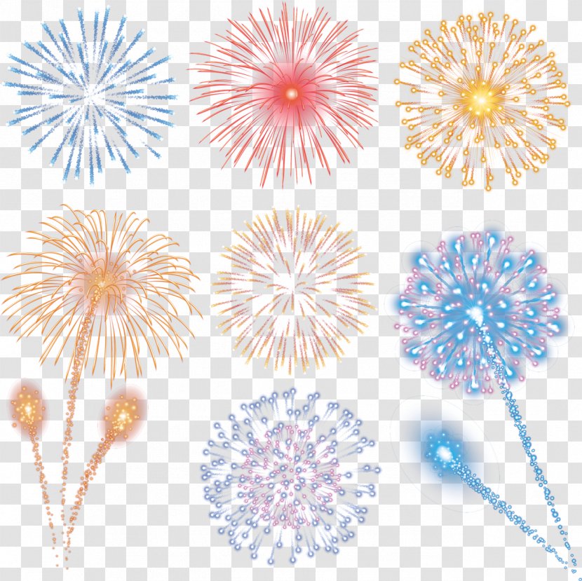 Vector Graphics Fireworks Image Design - Flowering Plant Transparent PNG