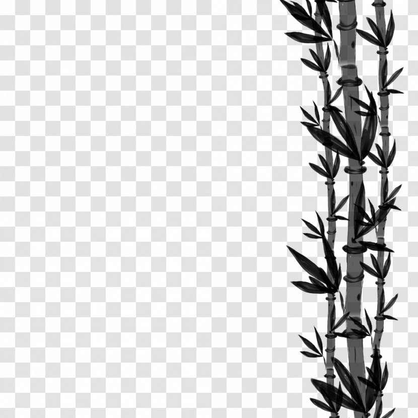 Black & White - Twig - M Font Grasses Line Plant Stem Transparent PNG