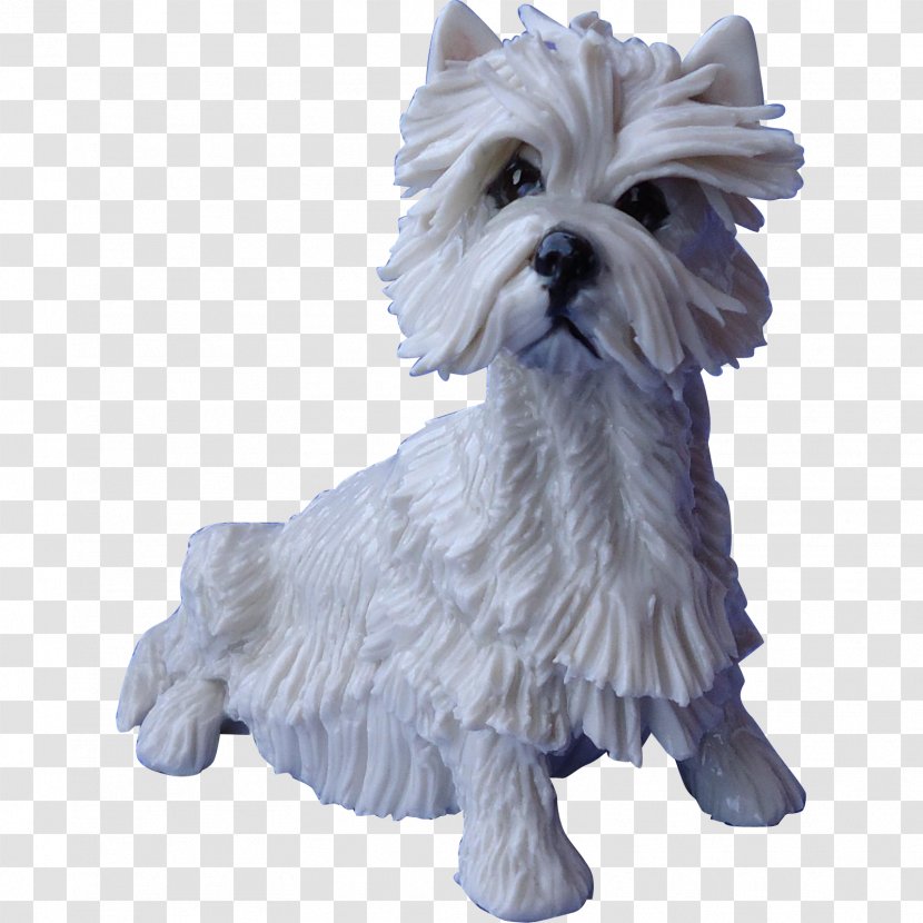 cairn terrier west highland white terrier