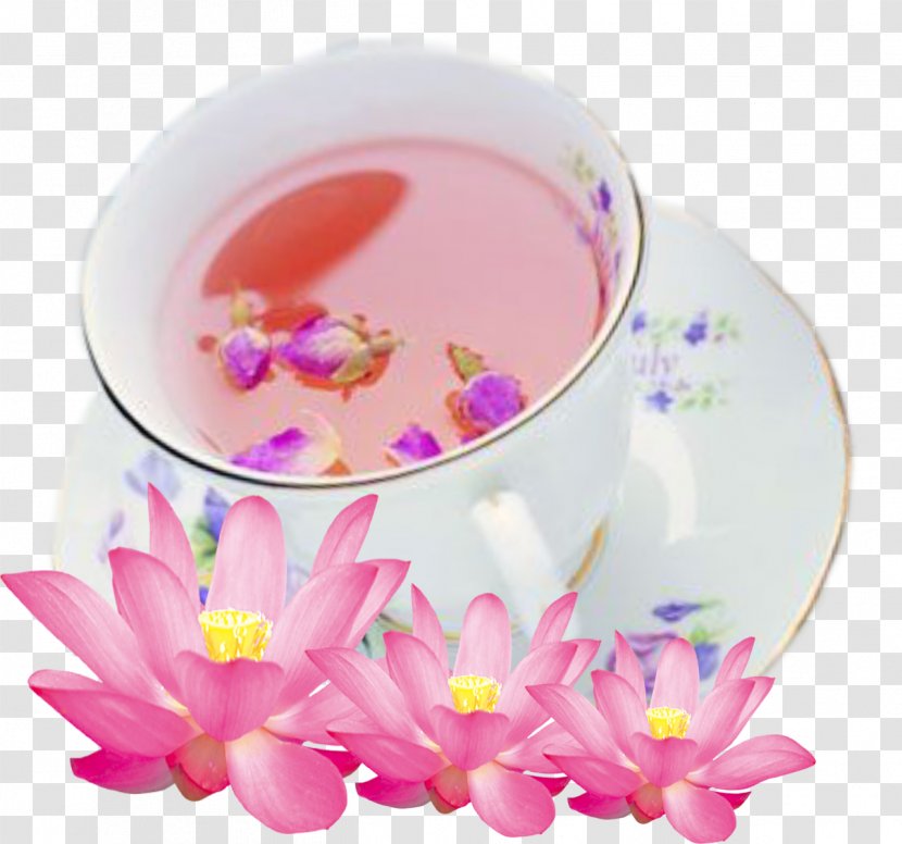 Flowering Tea Coffee Beach Rose Cafe Transparent PNG