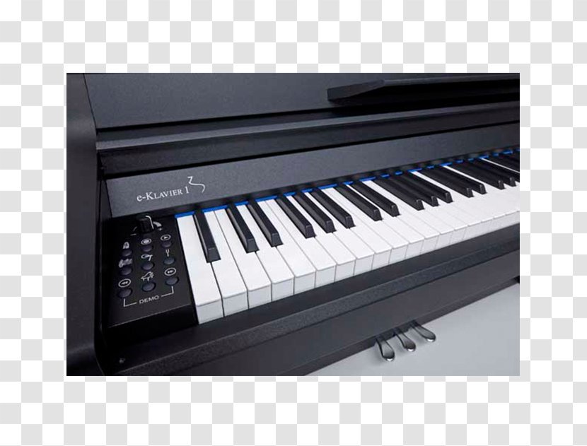 Digital Piano Electric Player Pianet Electronic Keyboard - Flower Transparent PNG