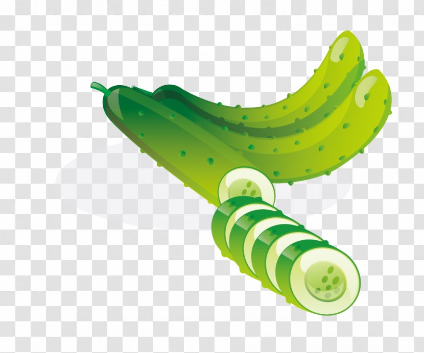 Cucumber Vegetable Food Cartoon - Grass - Bitter Transparent PNG