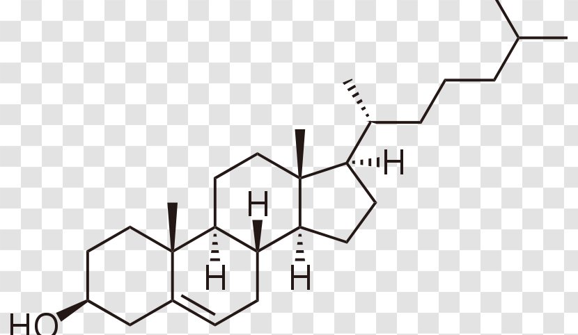Molecule Amphiphile Cholesterol Lipid Bilayer - Drawing - Cholestrol Transparent PNG