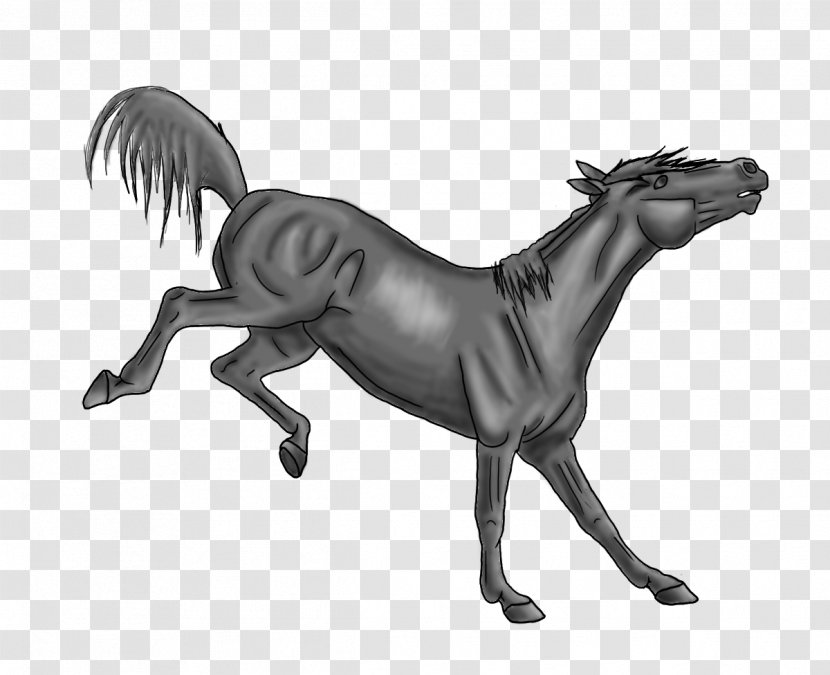 How To Draw A Horse Bucking Stallion Drawing - Organism Transparent PNG