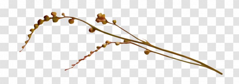 Twig Branch - Material - Plum Antiquity Transparent PNG