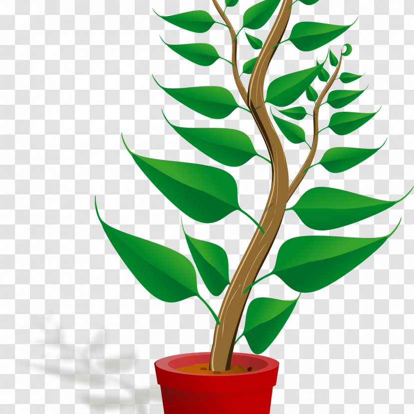 Cartoon Plant Drawing Clip Art - Stem Transparent PNG