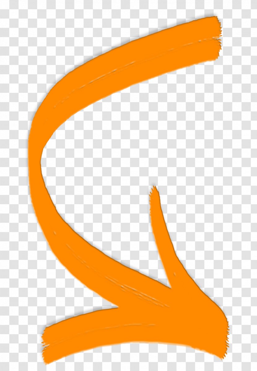 Curved Screen Map Information Clip Art - Beak - Orange Curve Transparent PNG