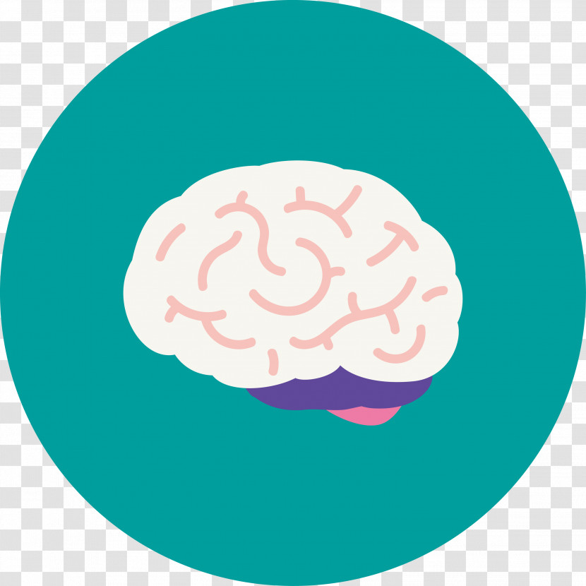 Brain Transparent PNG