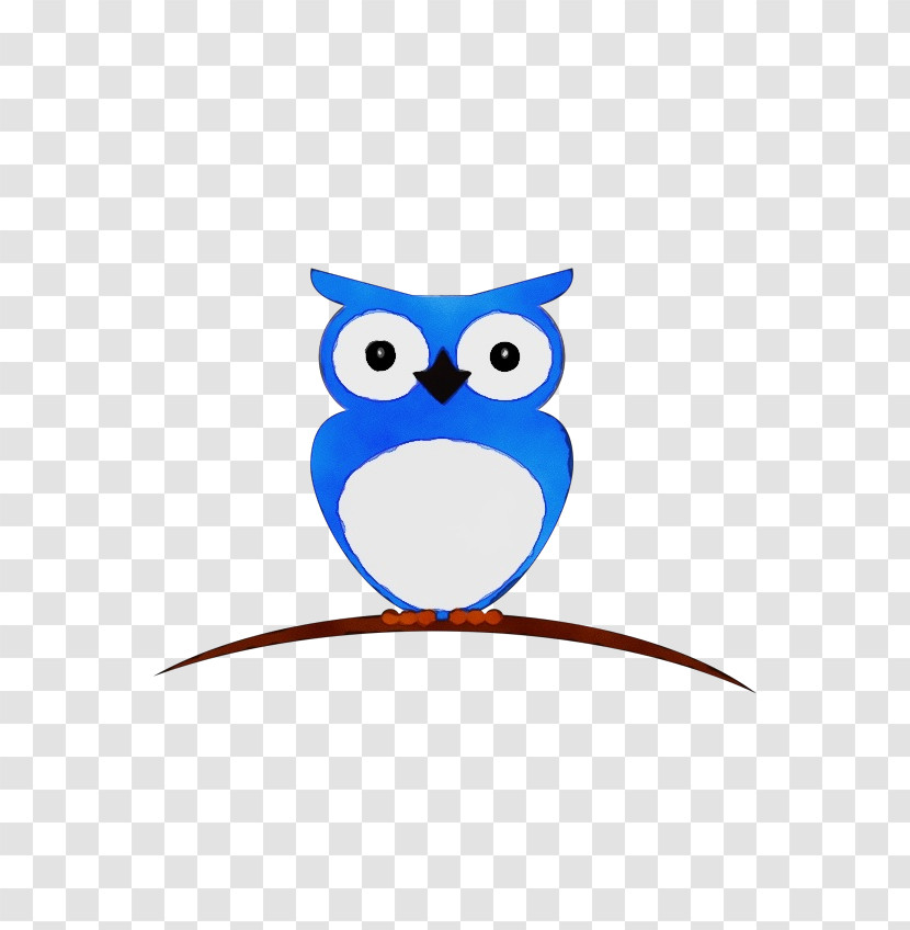 Birds Owls Cartoon Beak Bird Of Prey Transparent PNG