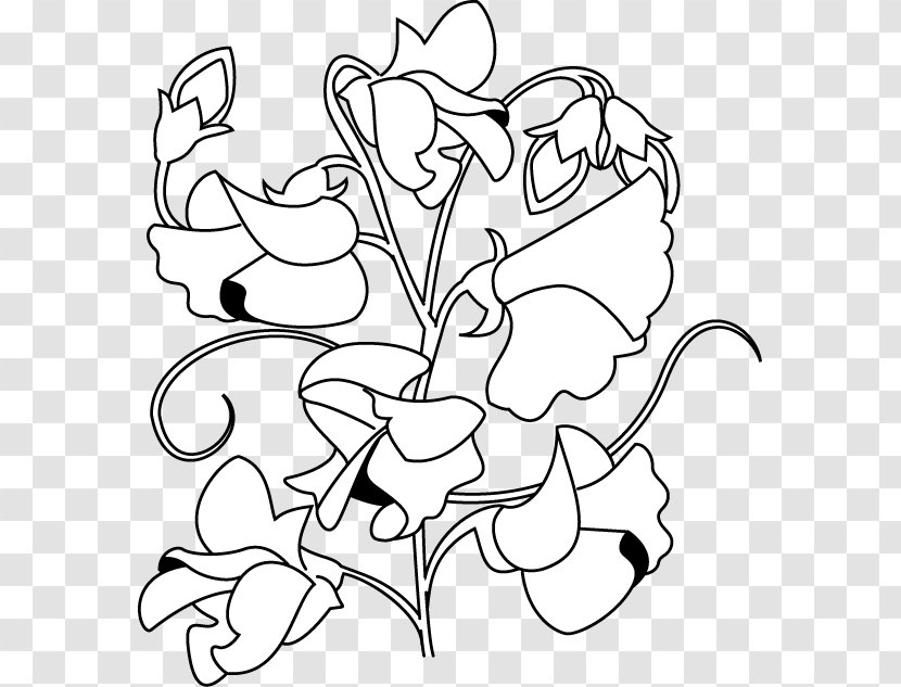 Floral Design Sweet Pea Flower Clip Art - Monochrome Transparent PNG