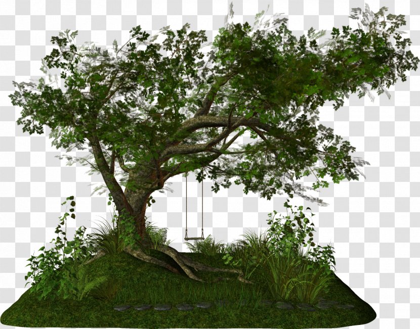 Tree Clip Art - Houseplant - Kartikeya Transparent PNG