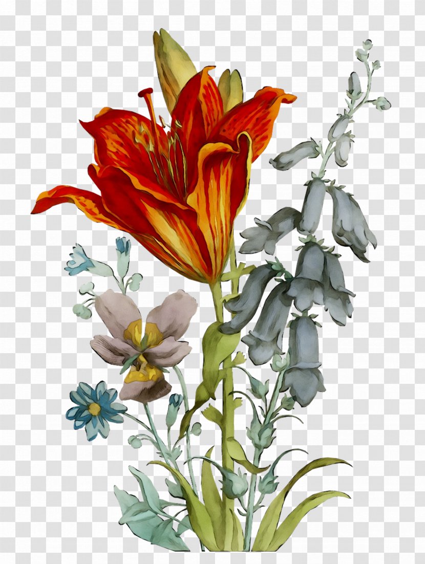 Floral Design Cut Flowers Flower Bouquet Alstroemeriaceae - Flowering Plant - Tiger Lily Transparent PNG