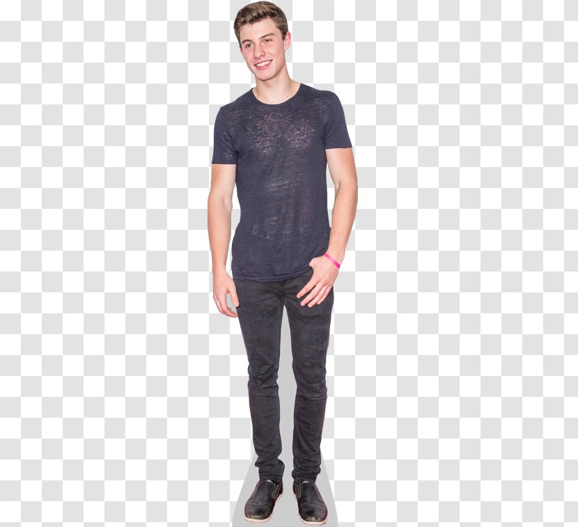 Shawn Mendes Celebrity Standee Amazon.com Cardboard - Frame - Tree Transparent PNG