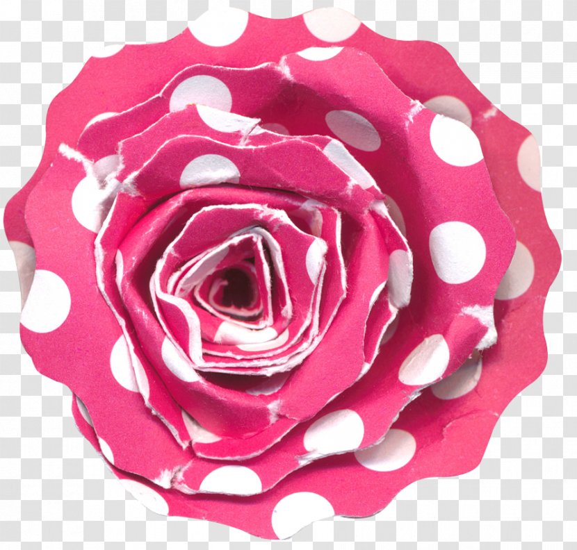 Garden Roses Beach Rose Centifolia Polka Dot - Floribunda Transparent PNG