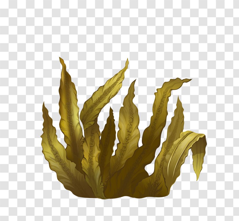 Kelp Seaweed Algae Deep-sea Tangles - Deepsea - Sea Lettuce Transparent PNG