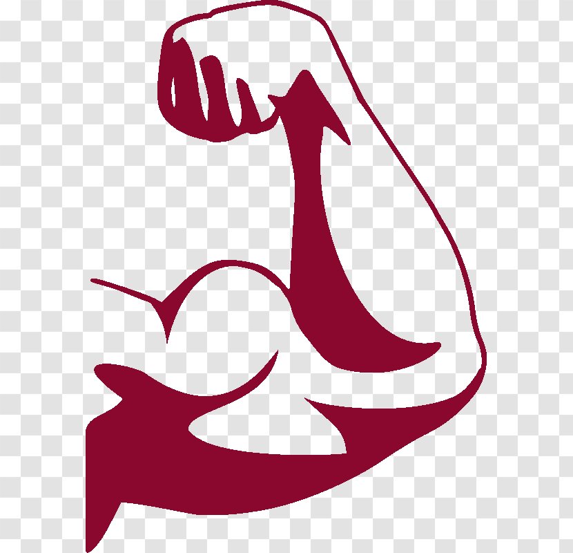 Muscle Arms Clip Art - Beak - Arm Transparent PNG