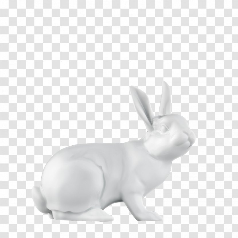 Domestic Rabbit Hare Fürstenberg China - Tableware Transparent PNG